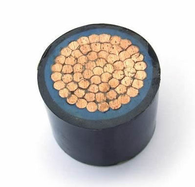 QQ截圖20231220110424.png